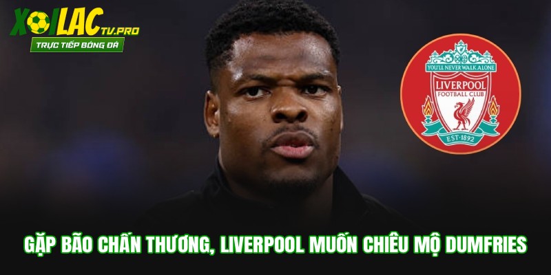 Gặp Bão Chấn Thương, Liverpool Muốn Chiêu Mộ Dumfries