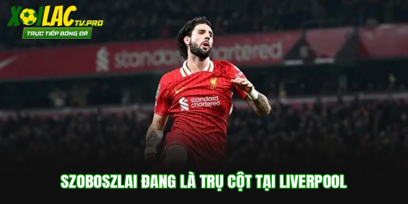 Szoboszlai đang là trụ cột tại Liverpool
