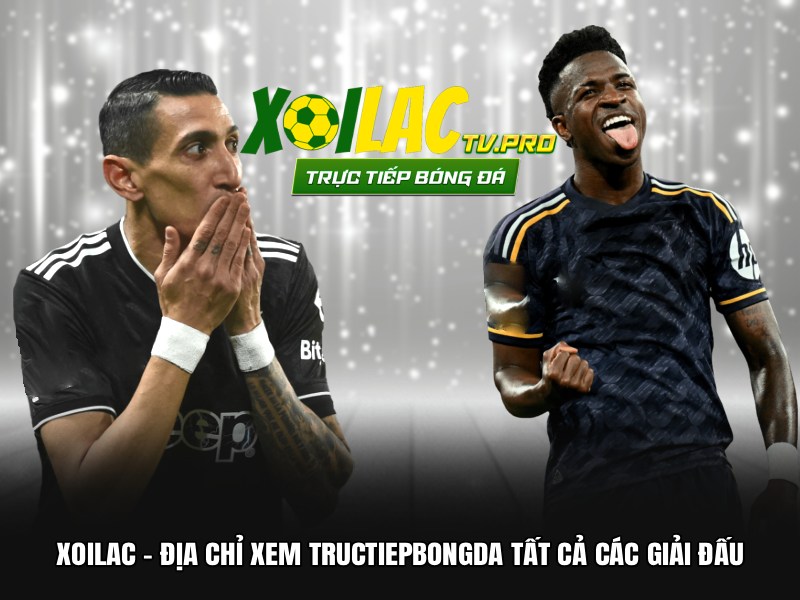 Xoilac – Địa chỉ xem tructiepbongda tất cả các giải đấu